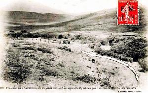 ALGERIE - INVASION SAUTERELLES - APPAREILS CYPRIOTES